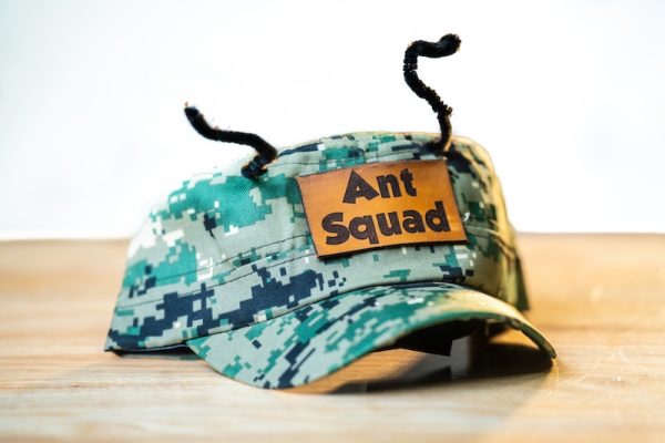 ant hat